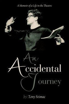 Cover An Accidental Journey