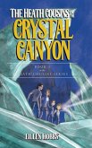 The Heath Cousins and the Crystal Canyon: Book 3 in the Heath Cousins Series