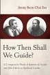 How Then Shall We Guide? - Bild 1