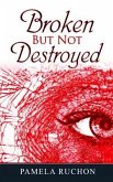 Broken But Not Destroyed (eBook, ePUB)