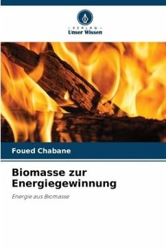 Biomasse zur Energiegewinnung - Chabane, Foued
