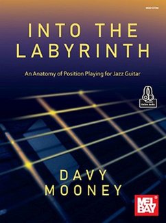 Cover Into the Labyrinth an Anatomy of Position Playing for Jazz Guitar