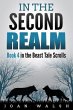 In the Second Realm (eBook, ePUB) - Bild 1