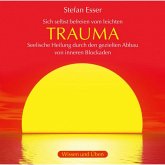 Trauma (MP3-Download)