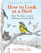 How to Look at a Bird (eBook, ePUB) - Bild 1