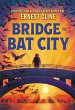Bridge to Bat City (eBook, ePUB) - Bild 1