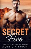 Secret Fire (Uniform Encounters, #1) (eBook, ePUB)