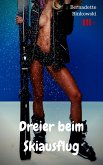 Dreier beim Skiausflug (eBook, ePUB)