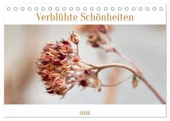 Verblühte Schönheiten (Tischkalender 2024 DIN A5 quer), CALVENDO Monatskalender