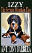 Izzy the Bernese Mountain Dog - Bild 1
