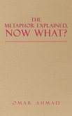 The Metaphor Explained, Now What?