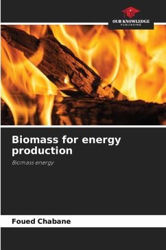 Biomass for energy production - Chabane, Foued