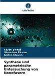 Synthese und parametrische Untersuchung von Nanofasern