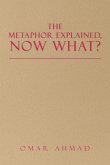 The Metaphor Explained, Now What?