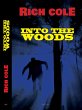 Into the Woods (eBook, ePUB) - Bild 1