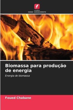 Biomassa para produção de energia - Chabane, Foued