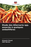 Etude des Alternaria spp. associés à quelques ombellifères