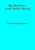 Big Business : Some Myths Busted (eBook, ePUB)
