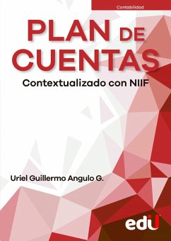 Cover Plan de cuentas (eBook, PDF)