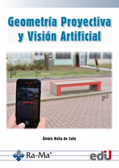 Geometría proyectiva y visión artificial (eBook, PDF) - de Celis, Alvaro Nolla