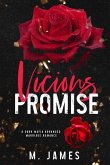 Vicious Promise (Dark Promises Series) (eBook, ePUB)