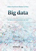 Big data (eBook, ePUB)