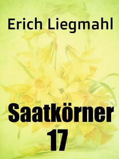 Saatkörner 17 (eBook, ePUB) - Liegmahl, Erich