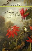 Im Dezember der Wind (eBook, ePUB)
