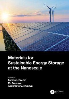 Materials for Sustainable Energy Storage at the Nanoscale (eBook, ePUB)