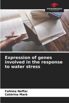 Expression of genes involved in the response to water stress - Neffar, Fahima;Marè, Catérina