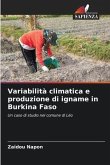 Variabilità climatica e produzione di igname in Burkina Faso