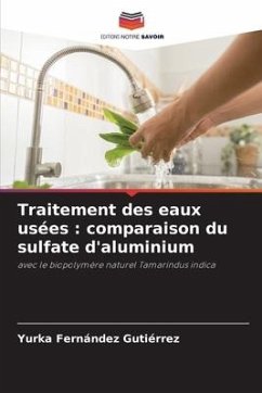 Traitement des eaux usées : comparaison du sulfate d'aluminium - Fernández Gutiérrez, Yurka