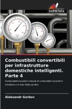 Combustibili convertibili per infrastrutture domestiche intelligenti. Parte 4 - Gorbov, Aleksandr