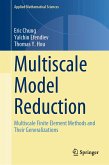 Multiscale Model Reduction (eBook, PDF)