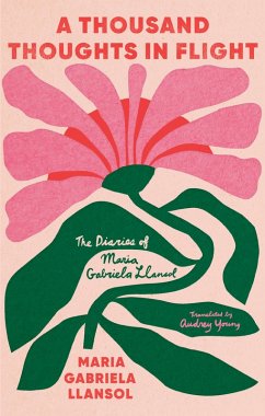 Cover A Thousand Thoughts in Flight (eBook, ePUB)