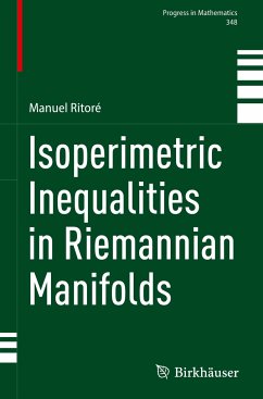 Isoperimetric Inequalities in Riemannian Manifolds - Ritoré, Manuel