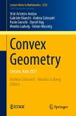 Convex Geometry