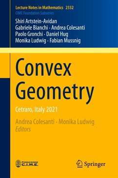 Convex Geometry - Artstein-Avidan, Shiri;Bianchi, Gabriele;Gronchi, Paolo;Colesanti, Andrea;Ludwig, Monika