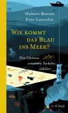 Wie kommt das Blau ins Meer? (eBook, PDF)