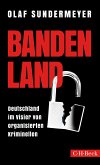 Bandenland (eBook, PDF)