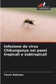 Infezione da virus Chikungunya nei paesi tropicali e subtropicali