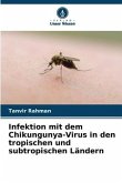 Infektion mit dem Chikungunya-Virus in den tropischen und subtropischen Ländern