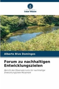 Forum zu nachhaltigen Entwicklungszielen - Domingos, Alberto Bive