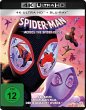 Spider-Man: Across the Spider-Verse - Bild 1
