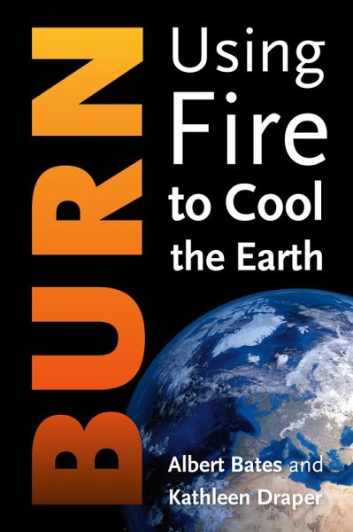 Burn (eBook, ePUB) Burn (eBook, ePUB)