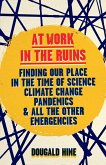 At Work in the Ruins (eBook, ePUB)