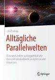 Alltägliche Parallelwelten (eBook, PDF)