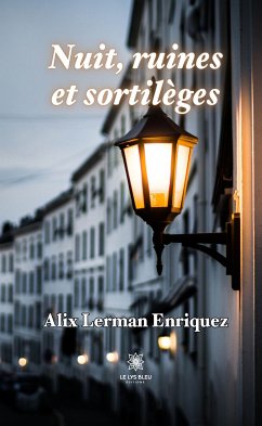 Nuit, ruines et sortilèges (eBook, ePUB) - Lerman Enriquez, Alix