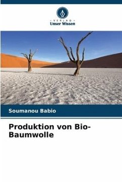 Produktion von Bio-Baumwolle - Babio, Soumanou
