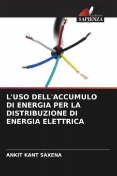 Cover L'USO DELL'ACCUMULO DI ENERGIA PER LA DISTRIBUZIONE DI ENERGIA ELETTRICA